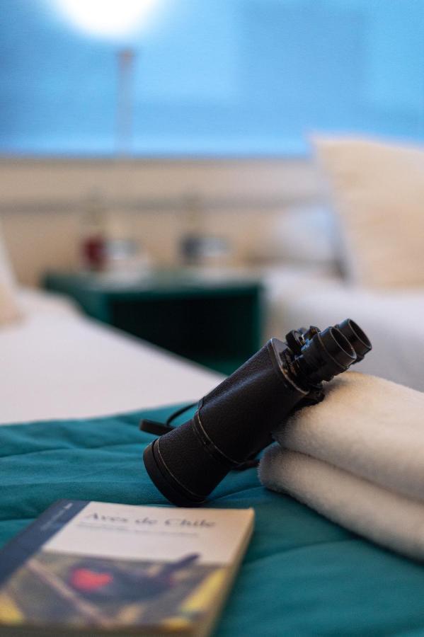 Guest house Boutique Terra Antarctica *